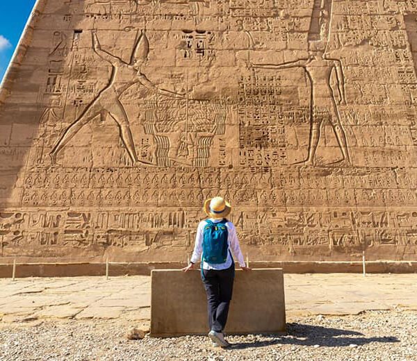 King TUT Family (2)
