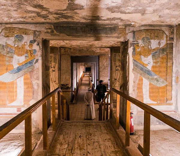 King TUT Family (3)