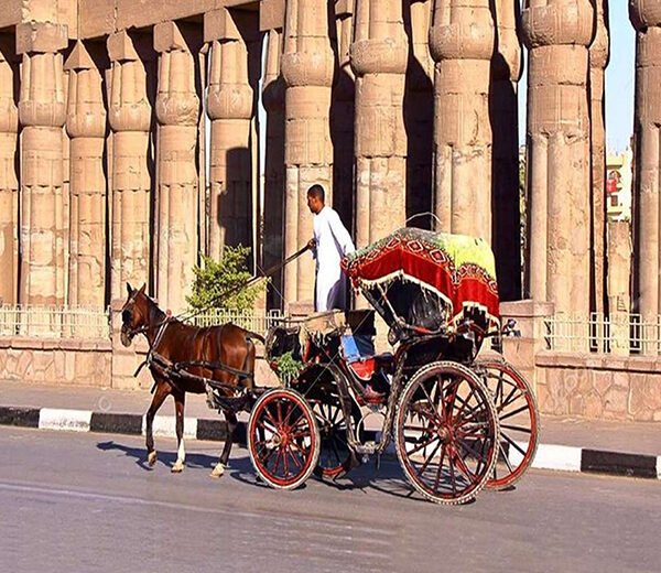 Luxor City Tour with Horse Carriage (1)