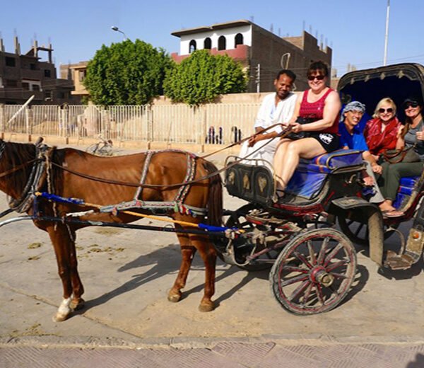 Luxor City Tour with Horse Carriage (2)