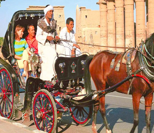 Luxor City Tour with Horse Carriage (4)