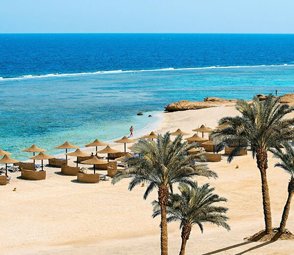 Luxor Highlights From Marsa Alam (Private) (2)