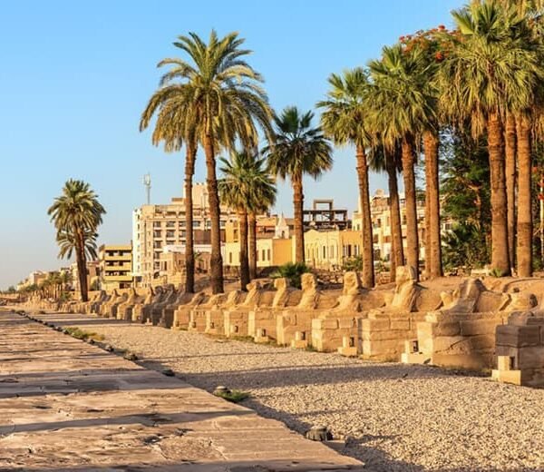 Luxor Highlights From Marsa Alam (Private) (3)