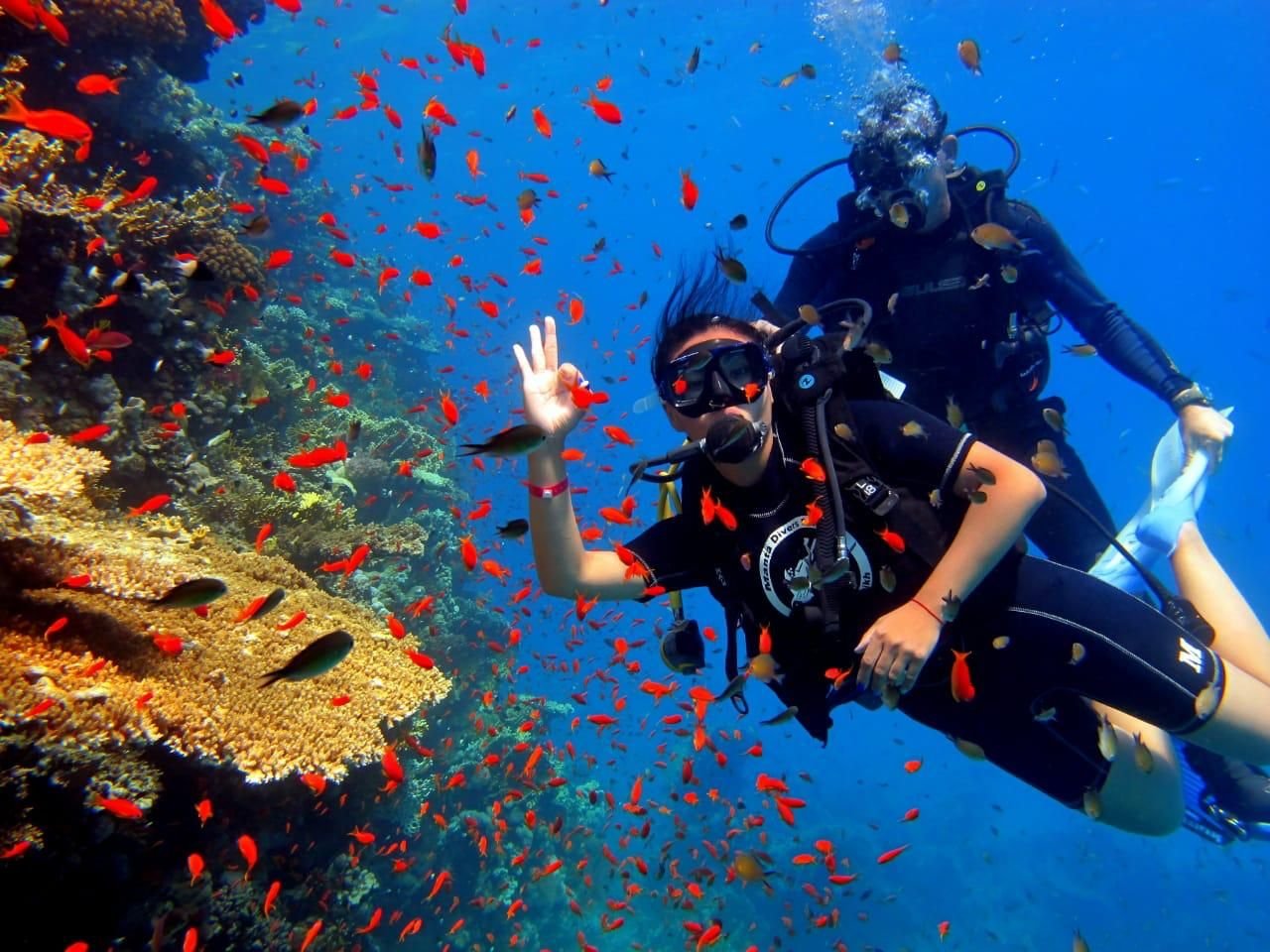 Sharm El Sheikh