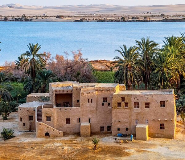 Trip Program to Siwa Oasis (2)
