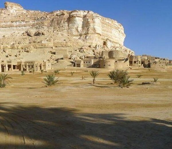 Trip Program to Siwa Oasis (3)