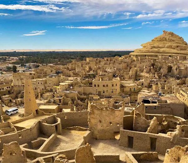 Trip Program to Siwa Oasis (4)